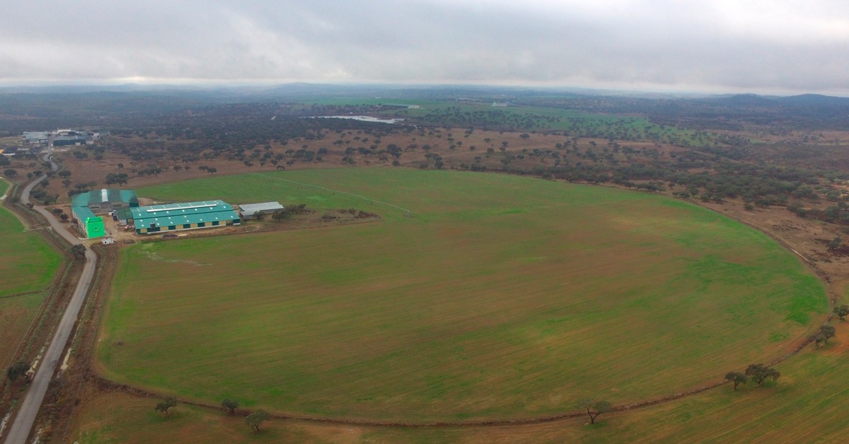 Nuestra finca Dehesa Dos Hermanas, un modelo de explotación ganadera