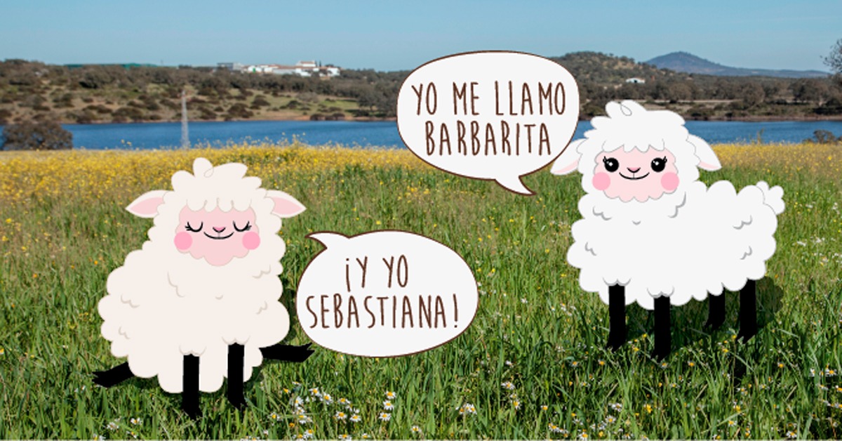¡Las 'ovejitas Dehesa Dos Hermanas' ya tienen nombre!